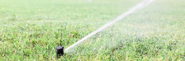 Groen gras water geven met sproeisysteem tijdens droogte