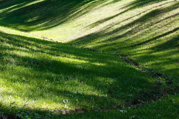 Groen grasgazon met schaduwen