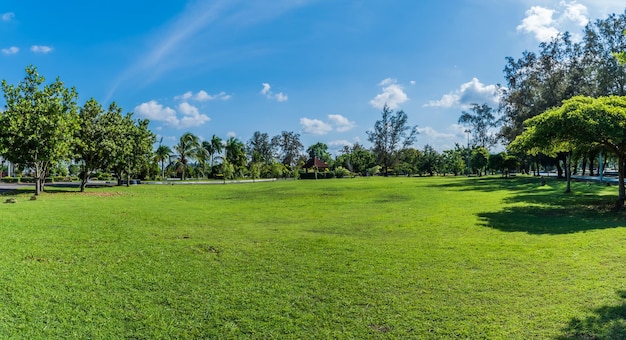 Foto groen grasveld en blauw luchtlandschap in tuinpark