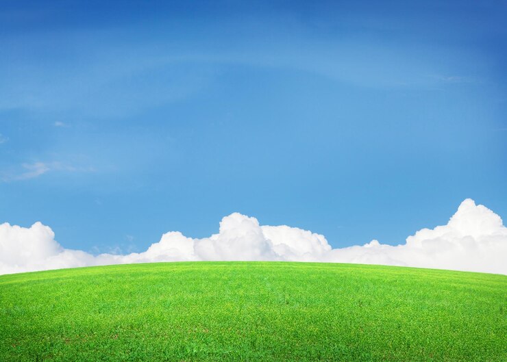 Groen grasveld en blauwe lucht met wolken