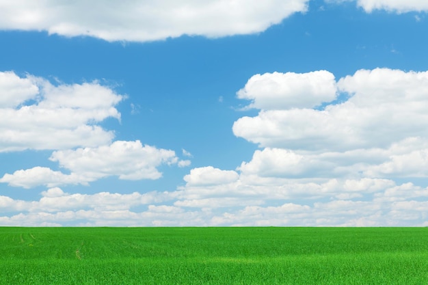 Groen grasveld en blauwe lucht met wolken