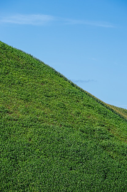 Groen grasveld en heldere blauwe hemel