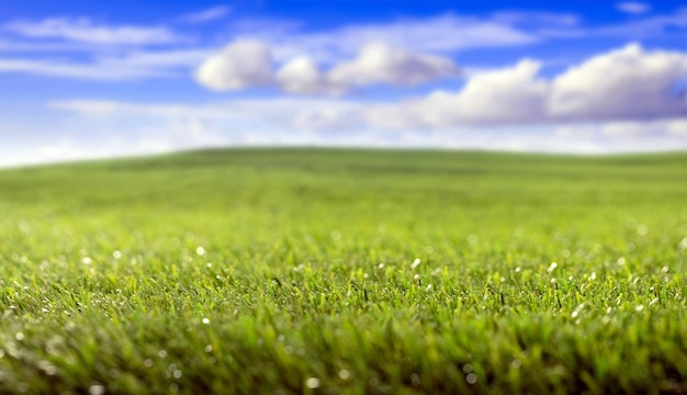 Groen grasveld kleine heuvels en blauwe bewolkte lucht achtergrond