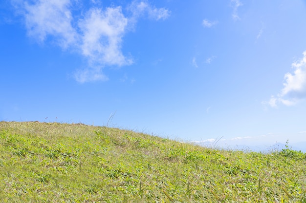 Foto groen grasveld met blauwe hemel