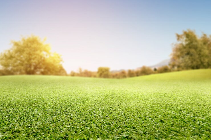 Foto groen grasveld met bomen