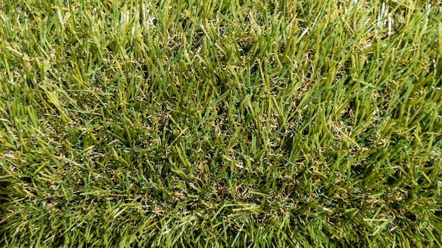 Foto groen grasveld turf gras textuur in de natuur bovenaanzicht achtergrond