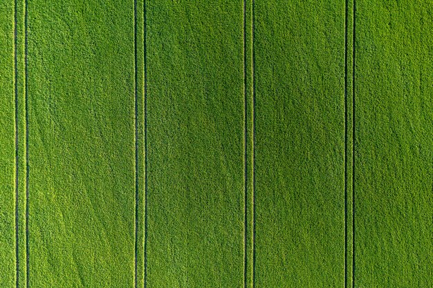 Groen landbouwveld van bovenaf met strepen