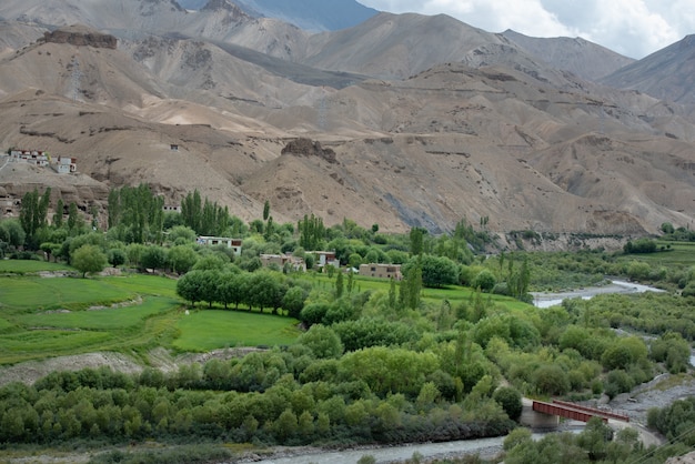 Foto groen landschap in leh, india.