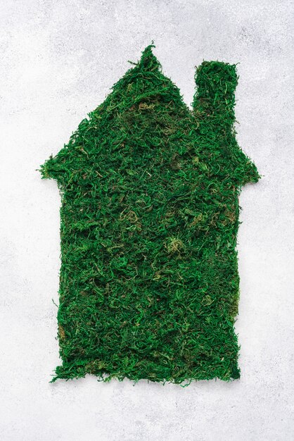 Groen mos eco huis symbool