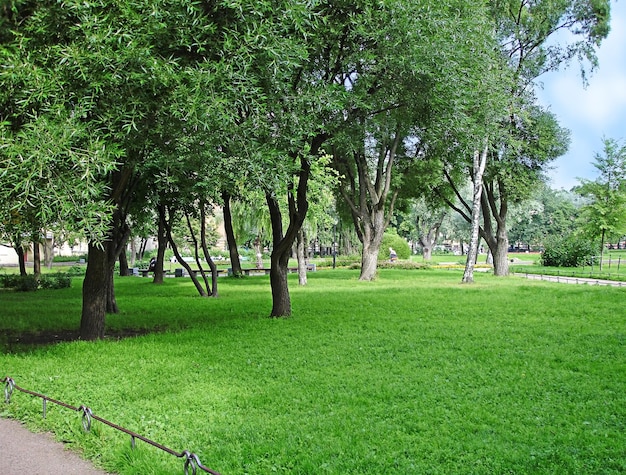 Groen park met bomen en gras