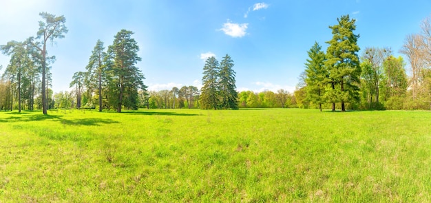 Groen parkpanorama