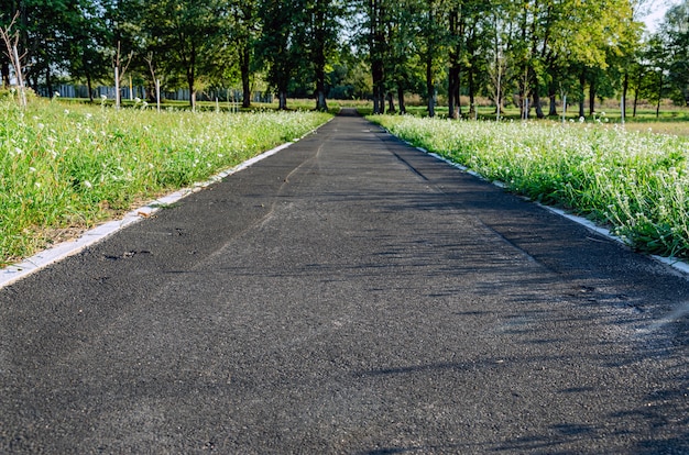 Groen stadspark in zonnige zomerdag straat