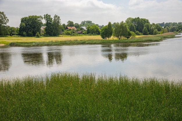 Groen stadspark met bomen, bloemen, wandelpaden.