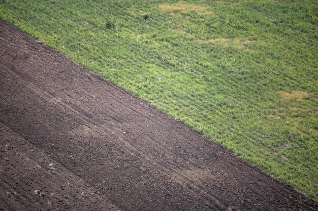 groen suikerriet en emtpy