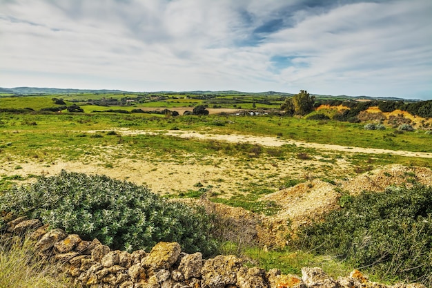 Groen veld bij zonsondergang in Sardinië, Italië