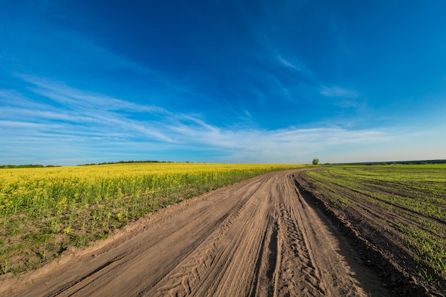 Groen veld, blauwe lucht en zon.