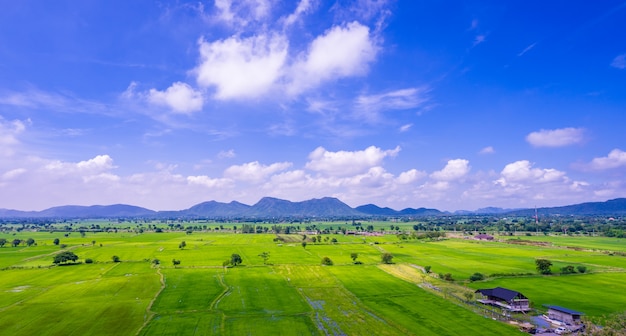 Groen veld en blauwe hemel met berg achtergrond