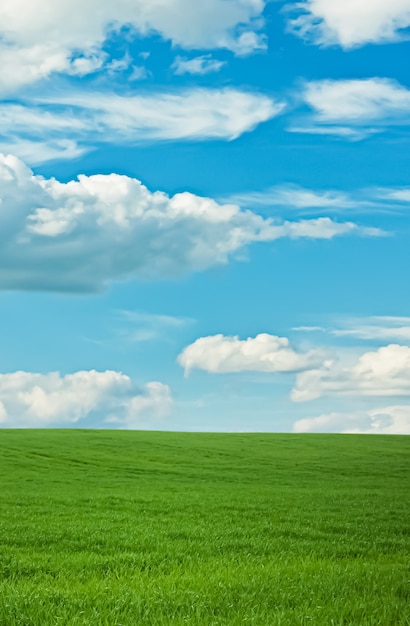 Groen veld en blauwe lucht met wolken prachtige weide als natuur- en milieuachtergrond