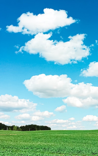Groen veld en blauwe lucht met wolken prachtige weide als natuur- en milieuachtergrond