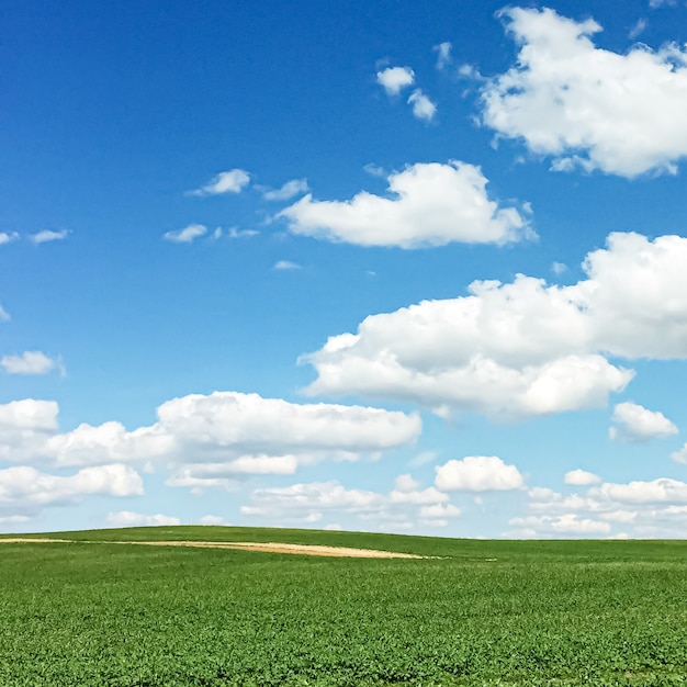 Groen veld en blauwe lucht met wolken prachtige weide als natuur- en milieuachtergrond