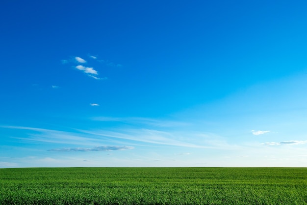Groen veld en blauwe lucht
