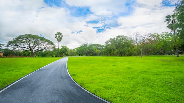 groen veld en grasland met boom in blauwe hemel