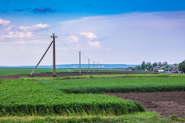 Groen veld en lichte hemel met kleine wolken