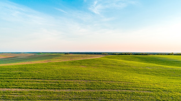 Groen veld en prachtige zonsondergang