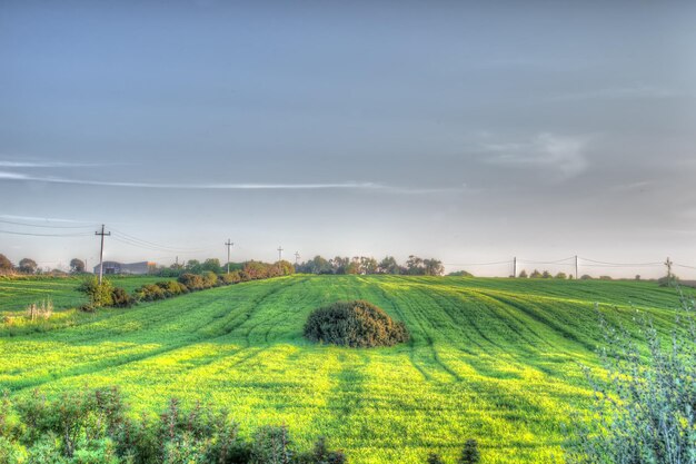 Groen veld in hdr tonemapping