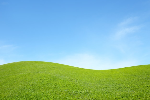 groen veld met blauwe lucht