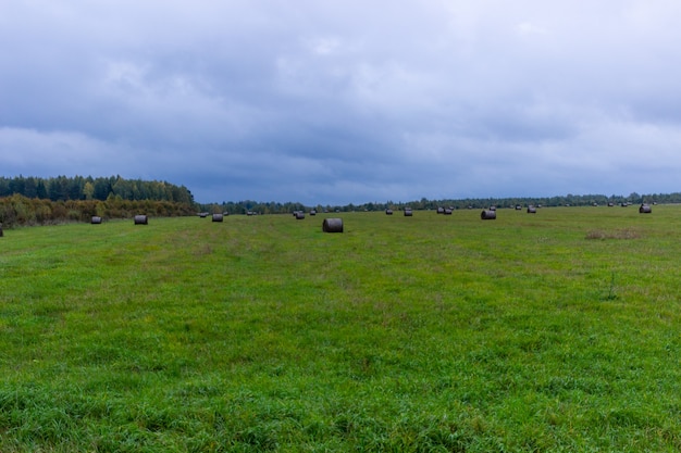 groen veld met hooibergen in de zomer