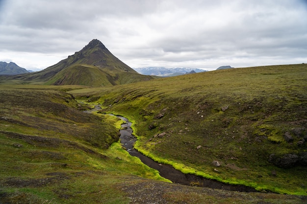 Groen veld met mos en bergpiek op de Laugavegur-wandelroute, IJsland.