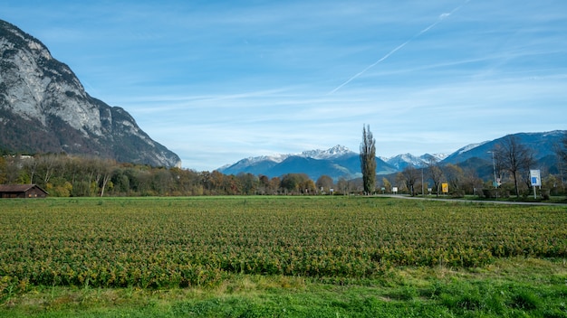 Groen veld met uitzicht op de bergen