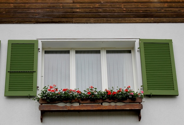 Groen venster versierd met bloempotten