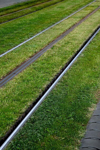 Groen vervoer in de stad