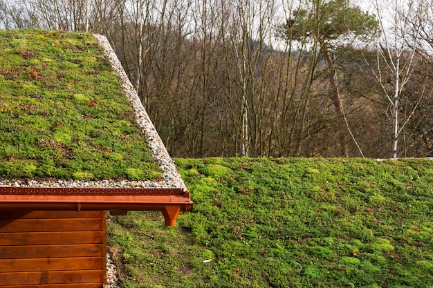 Groen woondak op houten gebouw bedekt met vegetatie