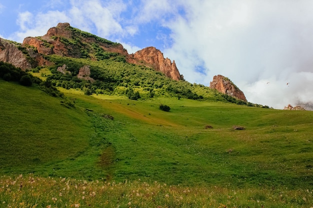 Foto groen zomerlandschap met drieën en rotsen