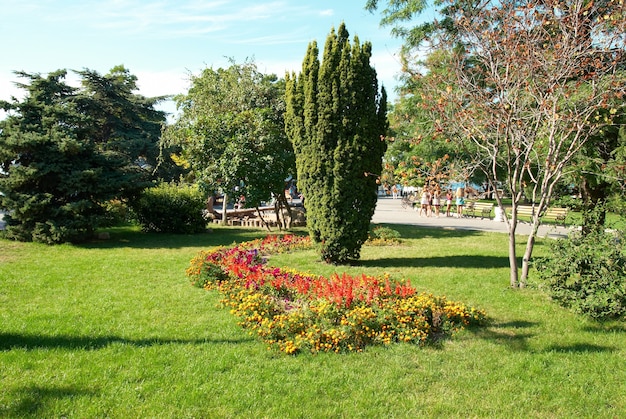 Groen zonnig park met bloemen en bomen