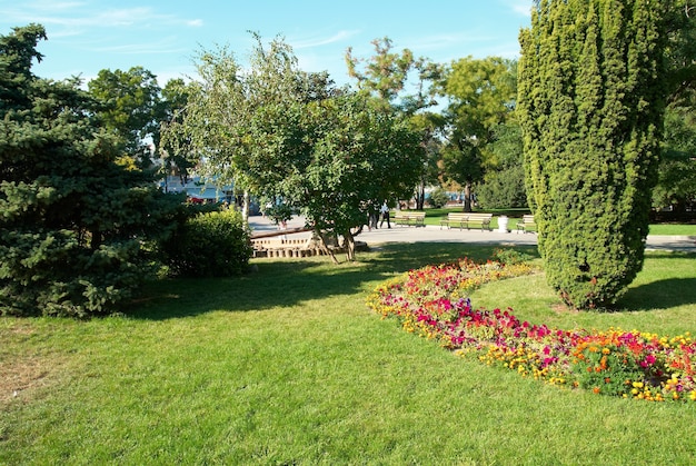 Groen zonnig park met bloemen en bomen