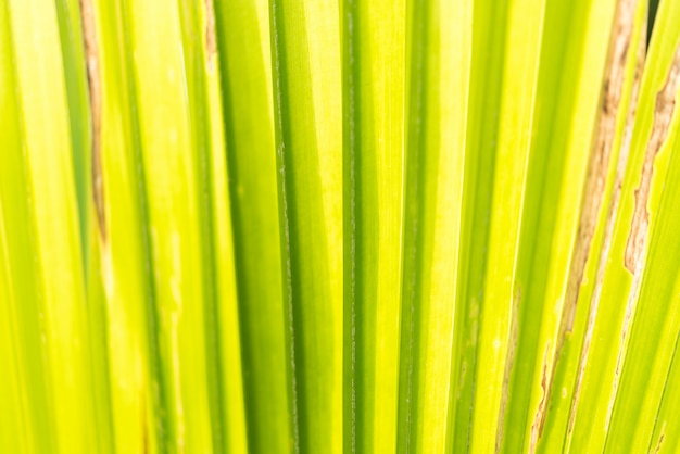 Groenachtergrond van aardinstallatie en blad