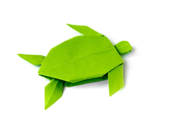Groenboekschildpad origami geïsoleerd op een witte achtergrond