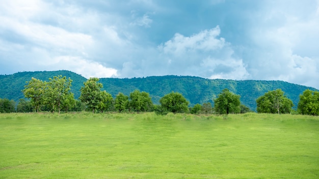 Groene achtertuin met berg en blauwe hemel