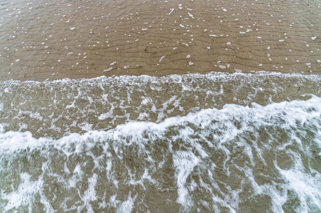 Groene algen in zeewater op een strand