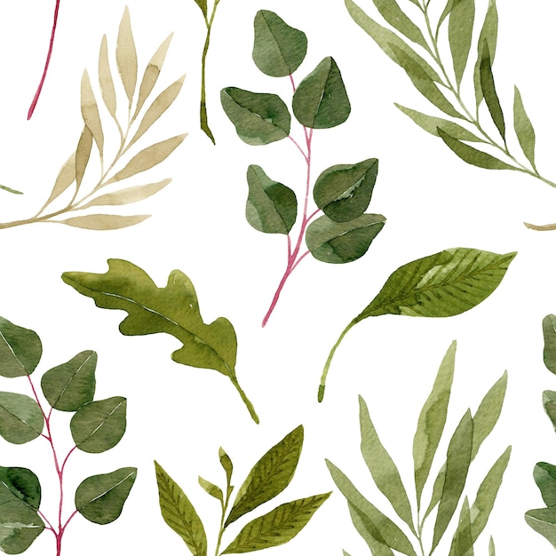 Groene aquarel eucalyptus takken en varens naadloze patroon botanische illustratie