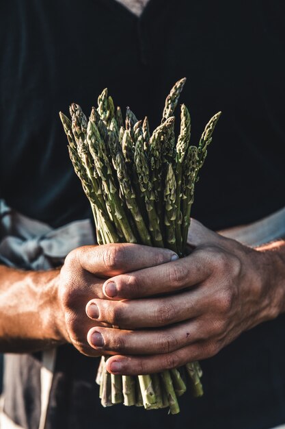 Groene asperges bewaard in mannenhanden