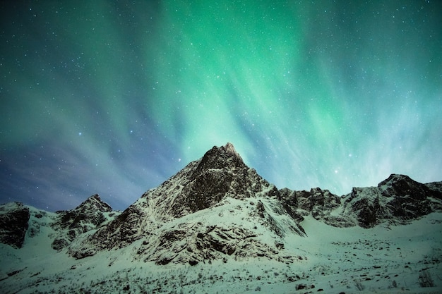 Groene Aurora borealis-explosie op sneeuwberg op de Lofoten-eilanden