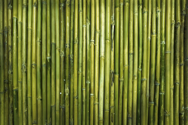 Foto groene bamboe houtstructuur voor de muur van de verdedigingstuin