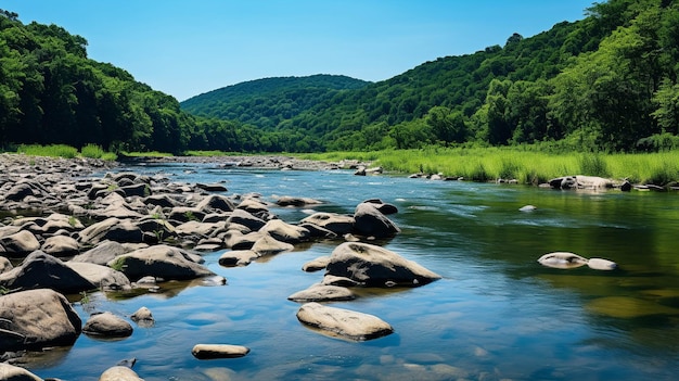 groene berg en steenachtige rivier