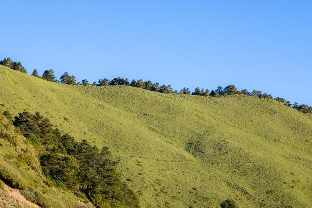 Groene berg met de blauwe hemel