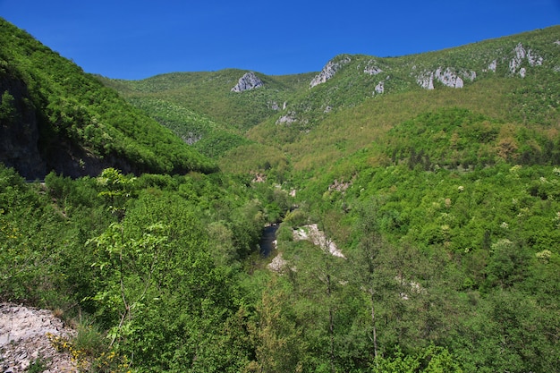 Groene bergen van Bosnië en Herzegovina